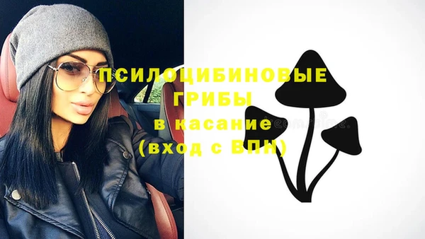 мдпв Краснослободск