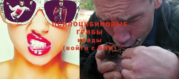 сатива Куйбышев