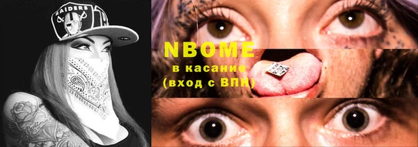сатива Куйбышев