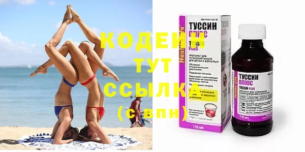 сатива Куйбышев