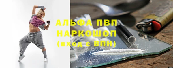 сатива Куйбышев