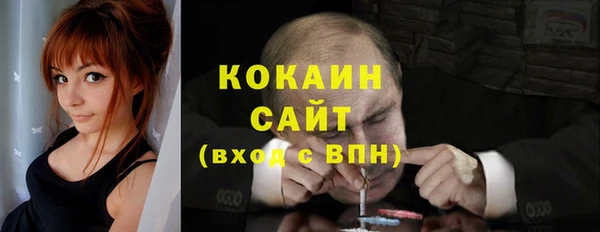 сатива Куйбышев
