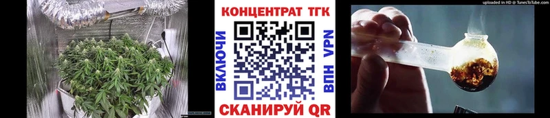 Купить закладки  Ядрин  ТГК концентрат 