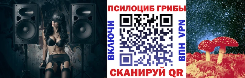 Купить закладки  Ядрин  Псилоцибиновые грибы GOLDEN TEACHER 